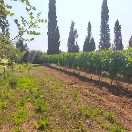 Dream Prázdninový dům *