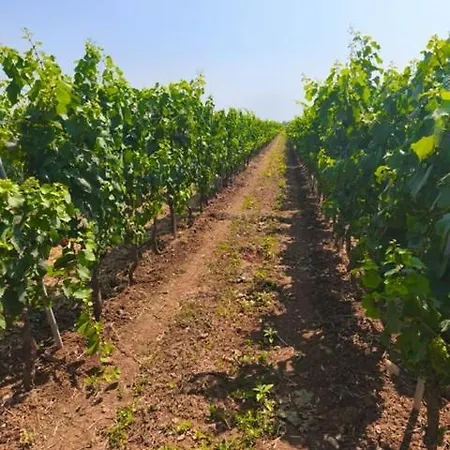 Prázdninový dům Dream *