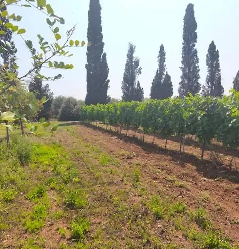 Dream Holiday home *