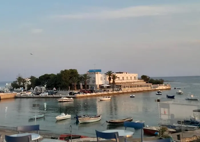 Dream بيت للعطل